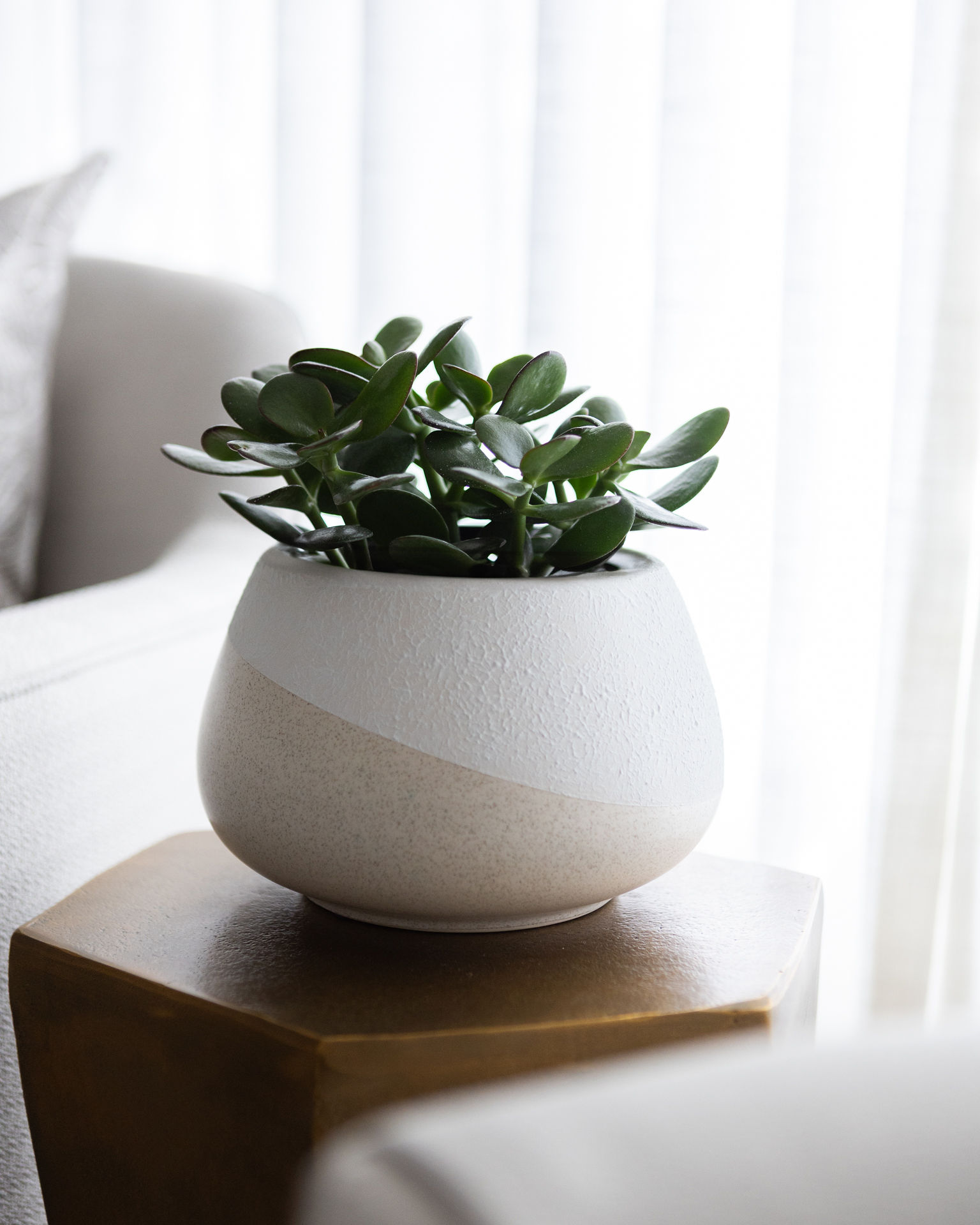 Stay Awhile project 4 | living room interior design | Endless Ideas Interiors